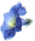 button
