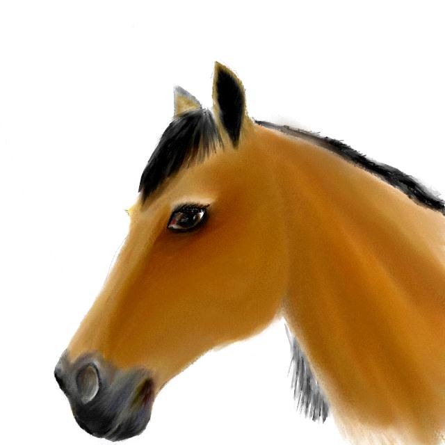 Nite Mare
