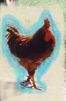 Foghorn Leghorn