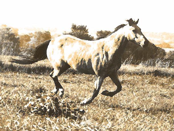 Mare in Antique oil