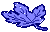 leaf05