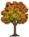 tree14