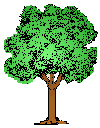 tree18