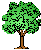 tree19