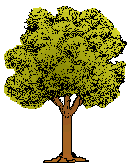 tree20