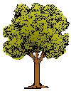 tree21