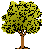 tree22