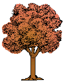 tree23