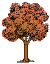 tree24