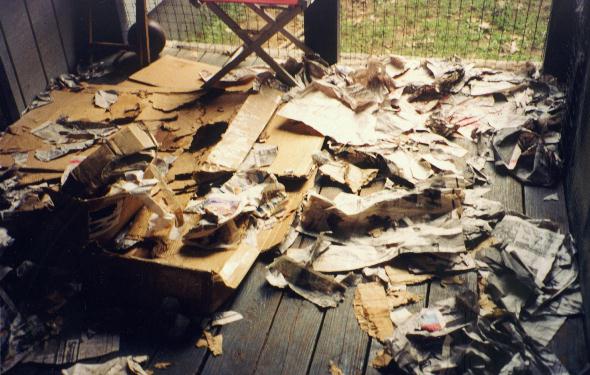 mess.jpg
