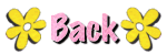 Back Button
