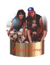 thumbnail of your picture #6