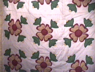 Rose of Sharon