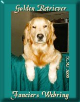 I'm a Golden Retriever Fancier