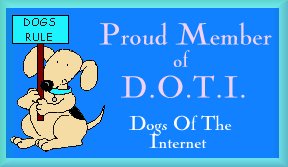DOTI member