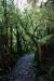 Milford Track