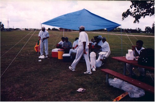 Cricket Match