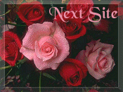 n_ssw-1.gif