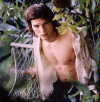 Kutcher