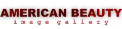 American Beauty Gallery