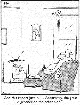 Larson Sheep Cartoon - grass is greener...