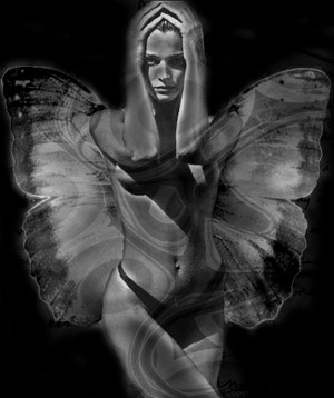 Nice Butterfly!