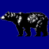 bear/ours