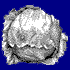 Cabbage  / Chou