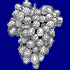 Grapes  /  Raisins