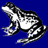 Frog/Grenouills