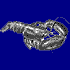 Lobster  /  Homard