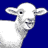 Lamb/Sheep  /  Agneau/Mouton
