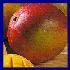 Mango/Mangue