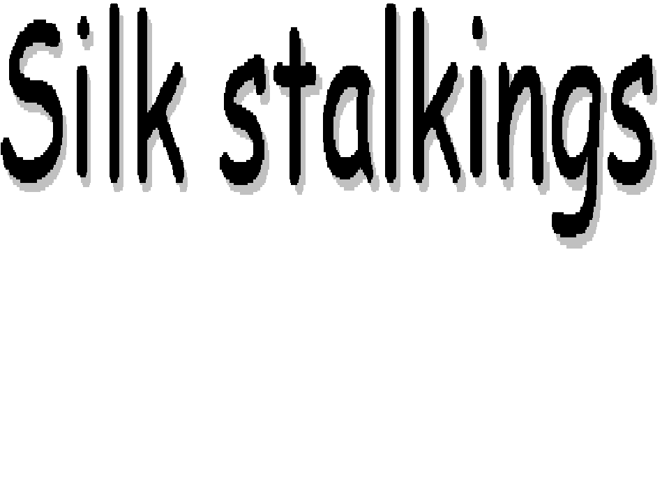 Silk Stalkings