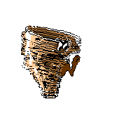Taz