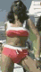 Spndx016.gif 2.80 K