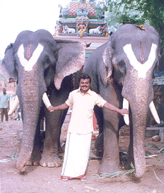 vijayakanth  in Kallazhagar