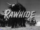 rawhide!