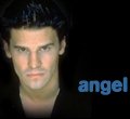 David-Angel info