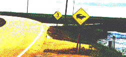 Alligator Crossing sign in the Louisiana bayou