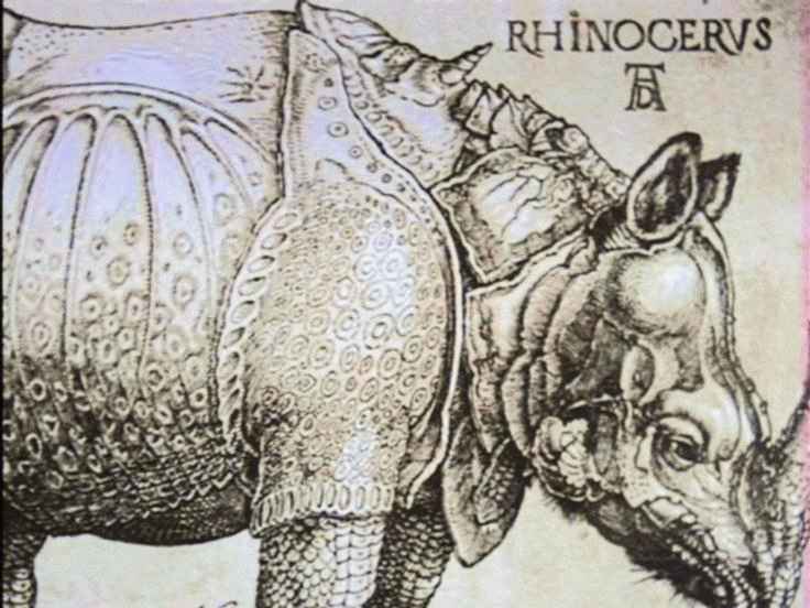 Durer-Rhino