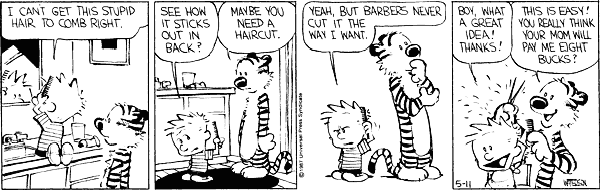 The Haircut