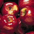 ī�G apple