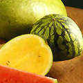 ��� water melon