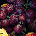 ���� grape