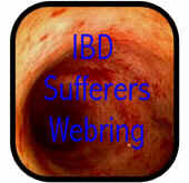 Previous Website