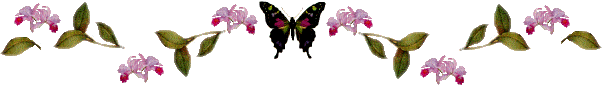 butflybar.gif