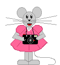 photms-a