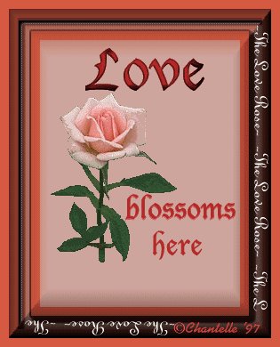 Love Blossoms Here Award