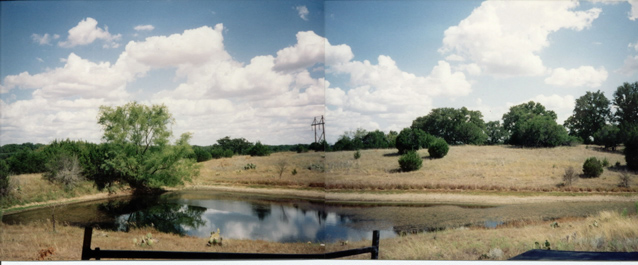 The whole pond